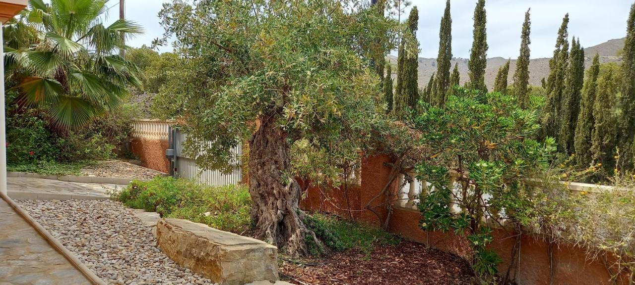Villa Casa Kenaz El Campello Eksteriør billede